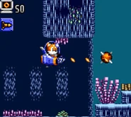 Tails in the Sea Fox