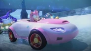Team-Sonic-Racing-Team-Rose.png (331 KB) Team Rose