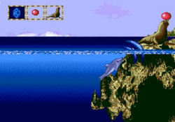 Ecco jr top