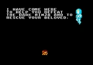 The White Ninja arrives to embue Alex with their power