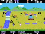 Papri can distract the bears with honey jars