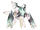 Solaris