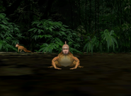 Final Evolutionary Stage: Frogman