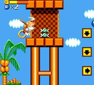 Mint candies will replenish Tails' flight meter