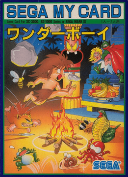 WONDER BOY / ワンダーボーイ [GG] 003