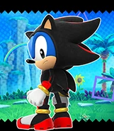 Sonic's Shadow the Hedgehog skin