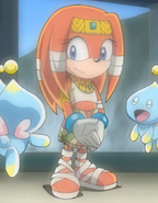 Sonic X