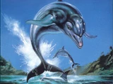 Ecco the Dolphin (game)