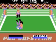 Champion-Pro-Wrestling-Pile-Driver.png (142 KB) Pile Driver