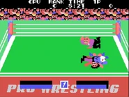 Champion-Pro-Wrestling-enemy-pin.png (138 KB) CPU/Player 2 pins