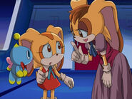 Sonic X