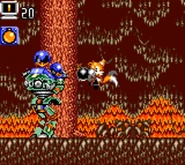 Tails defending the forest