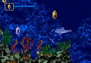 Breaking crystals with the sonar