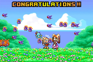 Sonic Advance 2
