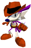 Sonic the Fighters