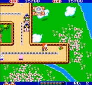 Sanrin picking up flowers