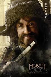 Bofur affiche