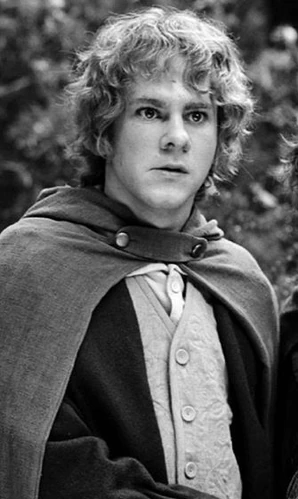 meriadoc-brandebouc-wiki-le-seigneur-des-anneaux-fandom