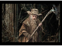 Radagast