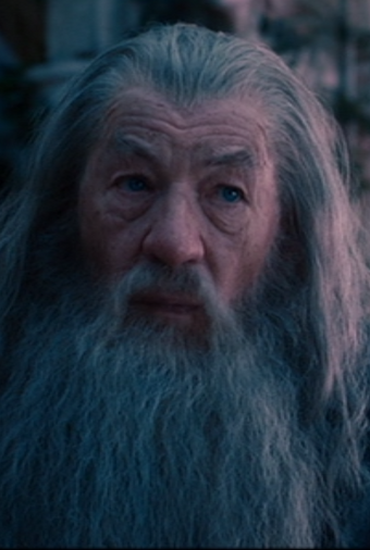 Gandalf Wiki J R R Tolkien Fandom
