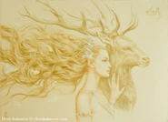 Nessa².jpg (471 kio)