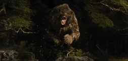 Beorn sous forme d'ours.