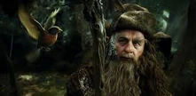 Radagast enquête sur la Forêt Noire