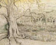 Tournesaules.jpg (11 kio)