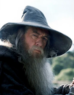 Gandalf Wiki Le Seigneur Des Anneaux Fandom