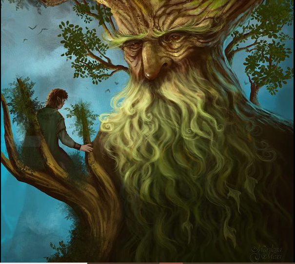 Ents, Wiki Le Seigneur des Anneaux