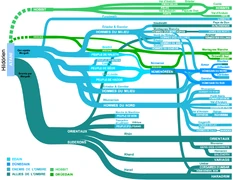Image de la carte Peuples d'Hommes