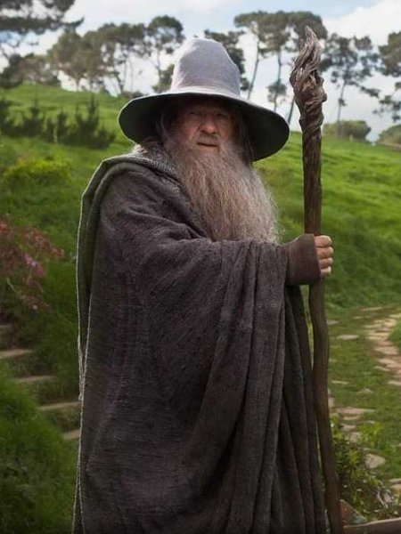 ian mckellen gandalf le blanc