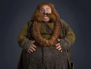 The-hobbit-bombur.jpg (88 kio)