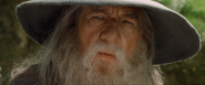 Gandalf reveur.png