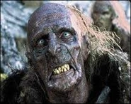 Orqueeeeees.jpeg (8 kio)