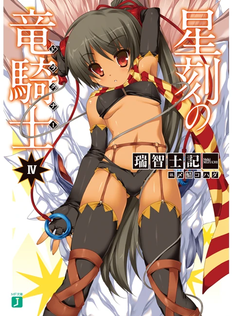 Seikoku No Dragonar Novel Volume 4 Seikoku No Dragnar Wiki Fandom