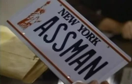 Assman plate