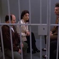 List of Seinfeld episodes, WikiSein