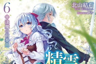 Seirei Gensouki: Spirit Chronicles Vol. 6 (Light Novel)