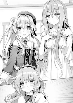 Seirei Gensouki: Spirit Chronicles: Omnibus 7 (Seirei Gensouki: Spirit  Chronicles (light novel), 7): Kitayama, Yuri, Riv, Mana Z.: 9781718328860:  : Books