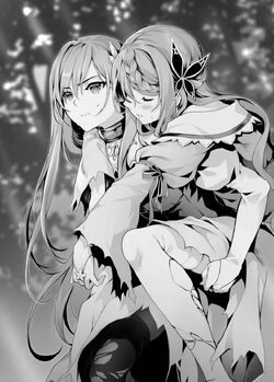 Rio vs Assassin Seirei Gensouki: Spirit Chronicles - Bstation