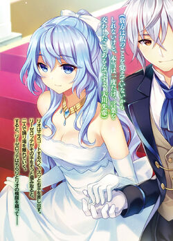 All Light Novel Images Vol.1-10  Seirei Gensouki: Spirit Chronicles 