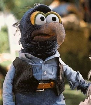 The Great Gonzo | Seiyu Wiki | Fandom