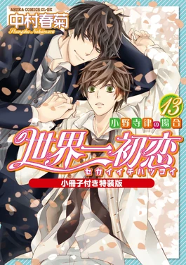 Volume13cover special edition