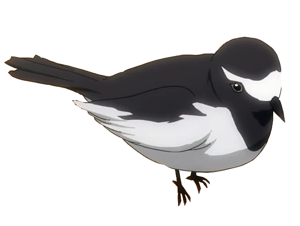 Sekirei | Sekirei - The Wings of Love Wiki | Fandom