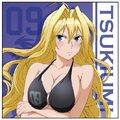 Sekirei Tsukiumi Cushion Cover (front)