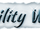 Ability Wiki-wordmark.png