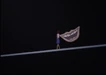 Cheshire Cat (9).png (174 KB) Image