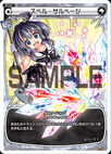 Spell Salvage WX06-015