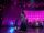 The Ellen DeGeneres Show 2013